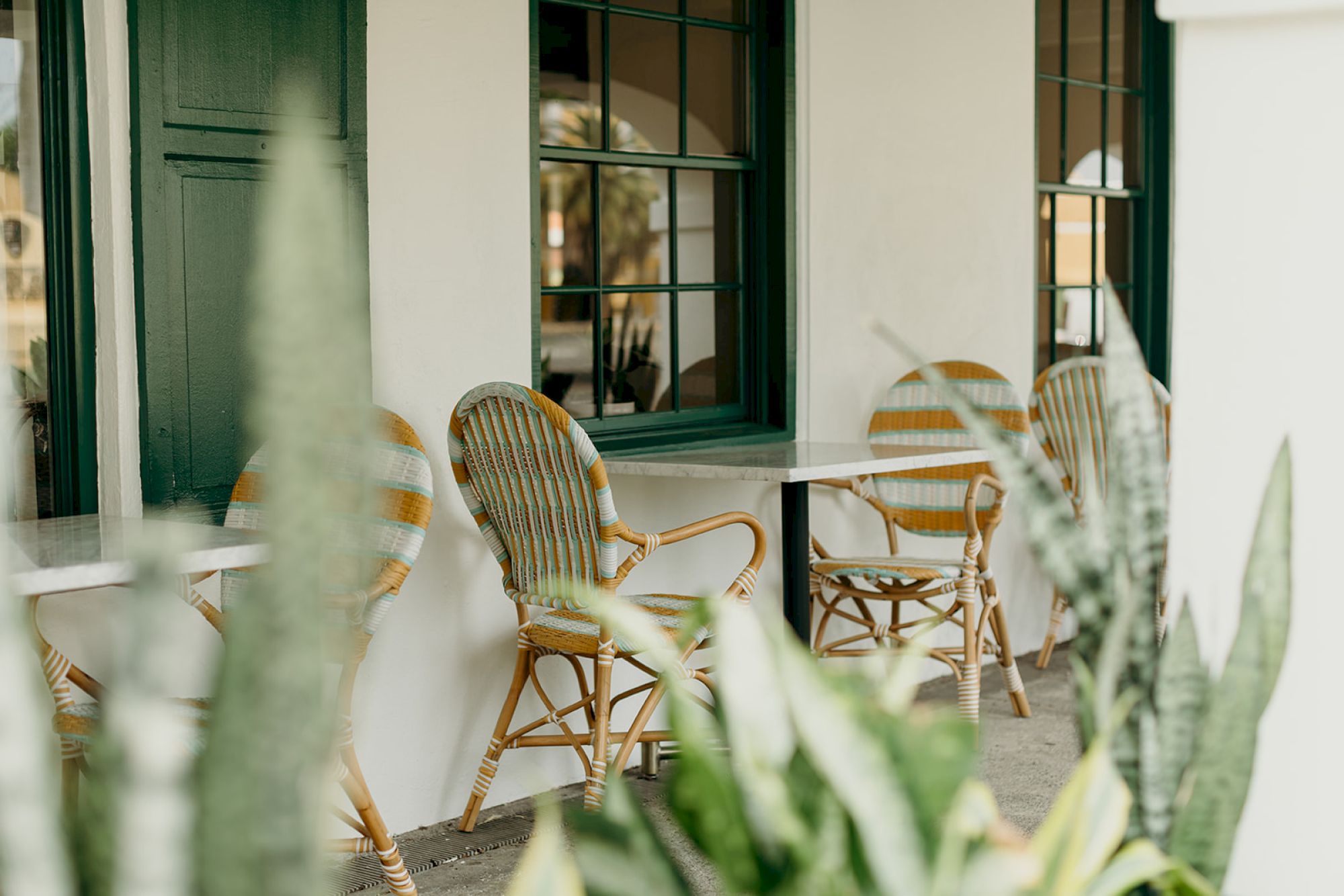 Outdoor seating with wicker chairs and tables by a building with green-framed windows, surrounded by leafy plants.