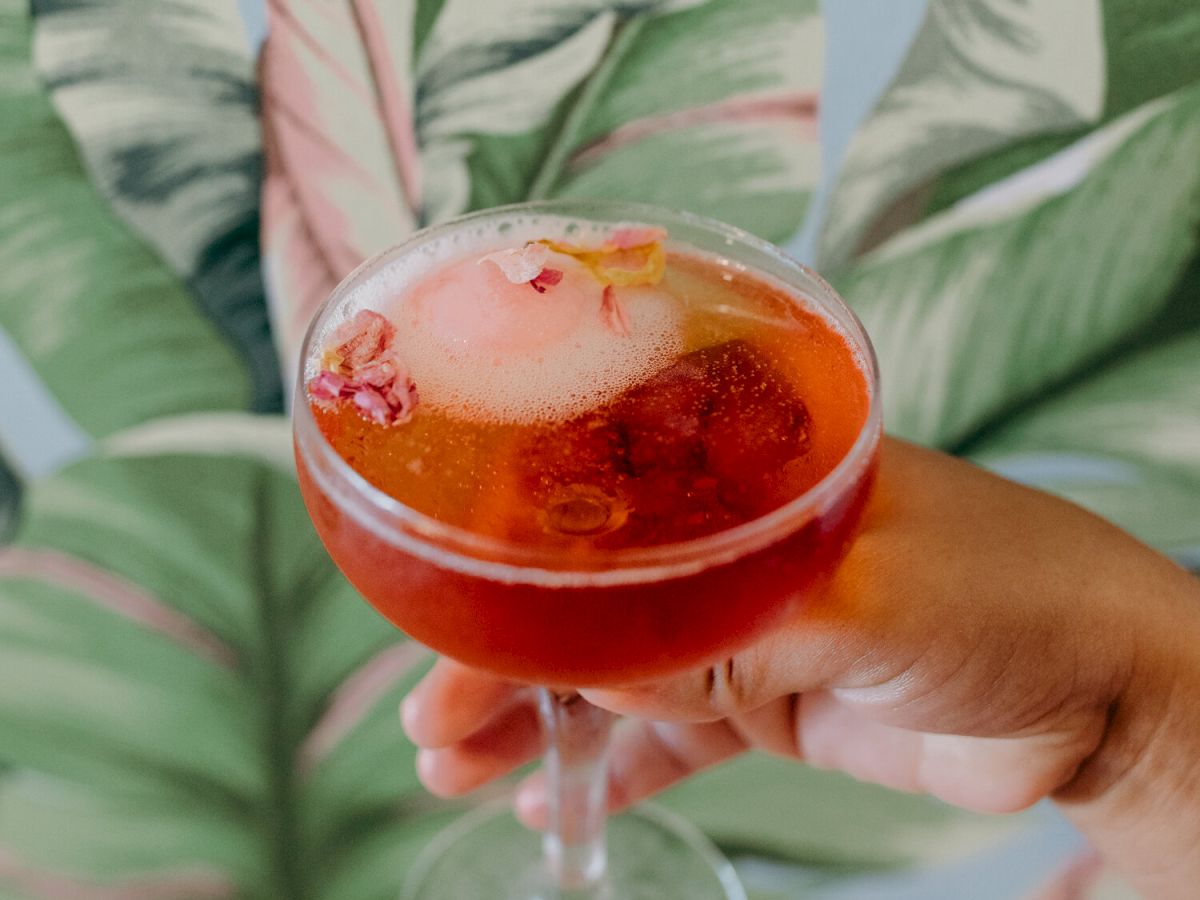 A hand holding a cocktail glass with a red drink and ice, set against a green leafy background.