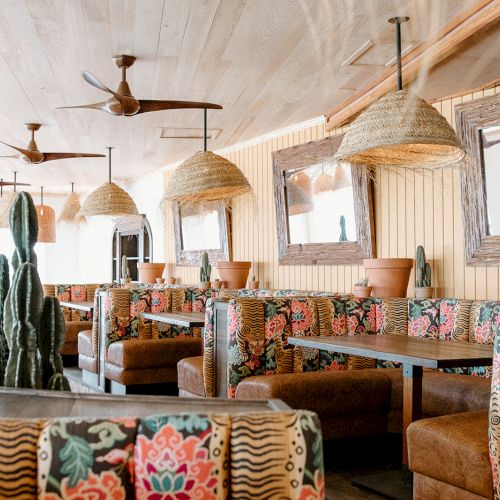 The image shows a restaurant interior with cozy booths, patterned cushions, large cacti, wicker lamps, and wooden decor elements.