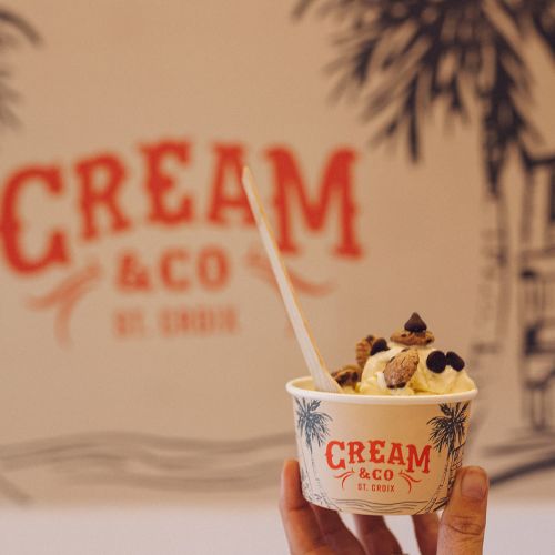 A hand holds a cup of ice cream with chocolate toppings in front of a "CREAM & CO" sign and tropical-themed wall art.