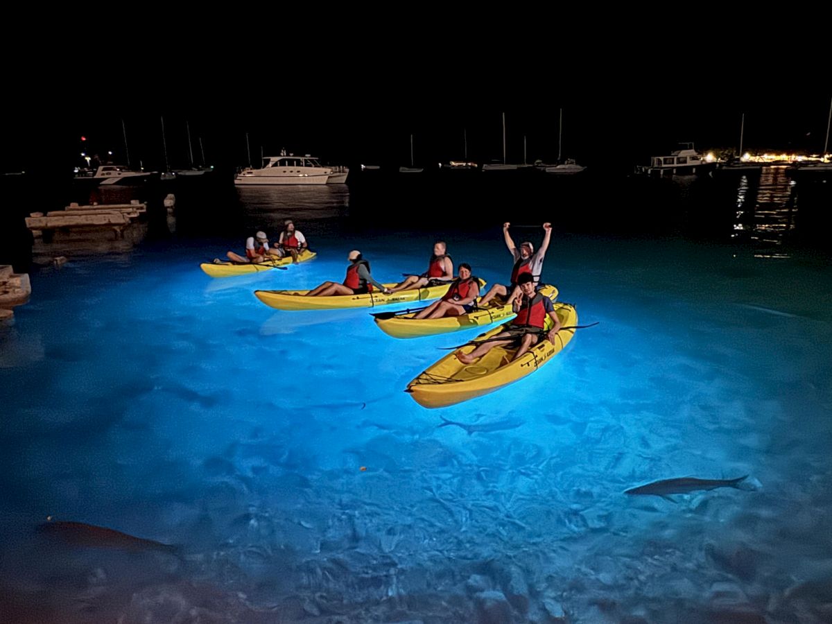At night in a marina, a group paddles yellow and blue kayaks in lit water near moored boats.